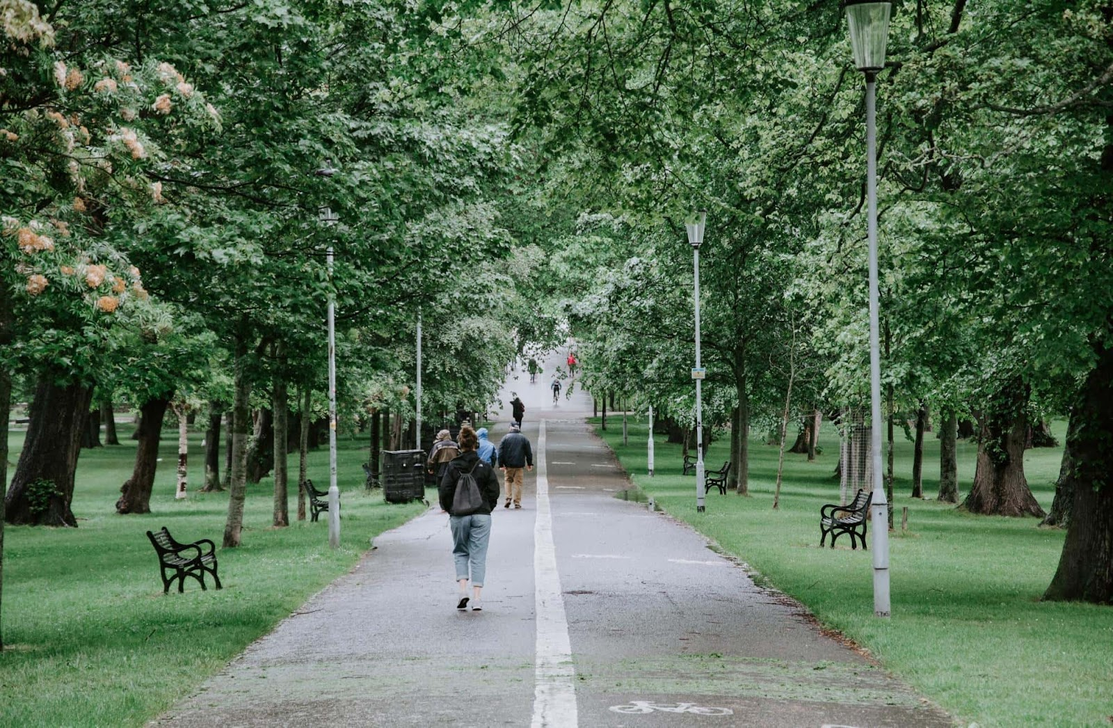 парк в жулебино